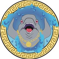Blam (@versacedolphy) 's Twitter Profile Photo