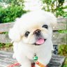 peki060329's profile picture. 人生悲観せず、今を楽しむ、精一杯生きる。投げ出さない。諦めない。