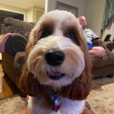 CVS0609's profile picture. Mom of 3 👨‍👧‍👦 dog mom too!🐶 Speech Pathologist 🗣 who loves the beach🏖, shopping🛍 and spending time with family and friends! ❤️