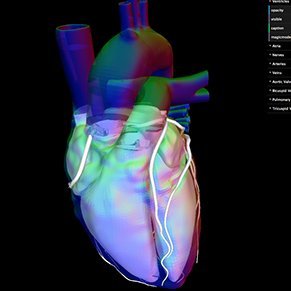 encephaloCS's profile picture. 🦠🔬Creating Art, Biomedically🖍🧬 IG:@encephaloCS  #scicomm #sciart #dataviz