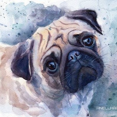 carrillo_baz's profile picture. I love art