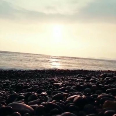 JackiRivero's profile picture. FCE
✨