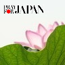 ときどき、薬師ＤＸやってます。
