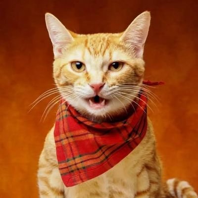 DhanashriMohar1's profile picture. 💞struggling for goal💞