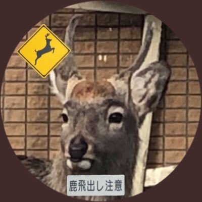flytankezoshika's profile picture. 稼働しません