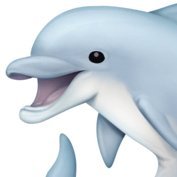 NT/Main marth/SSBU player/Amante del low tier (aucsilio) 🐬