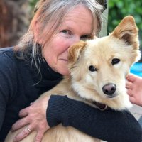 Claire Hatcher-Smith (@clairehatcher6) 's Twitter Profile