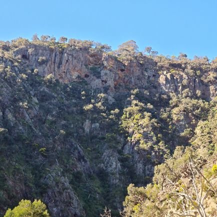 GregHal00192103's profile picture. 