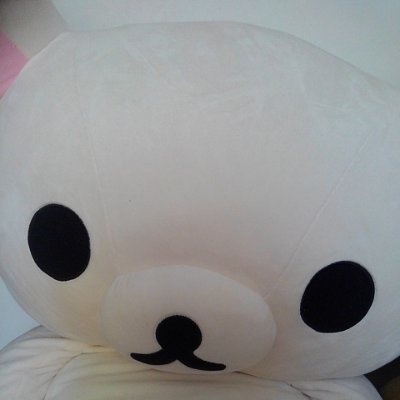 31KohKn9gcusoCS's profile picture. まらしぃさん大好きです。 推し活楽しい。 まらクラさんとお友達したいです。 気軽に絡んでください。喜びます。 仲良くしてください(〃'▽'〃) まらしぃさん他まらしぃさんのお話に出てくるかたも📮してます