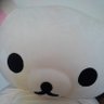 31KohKn9gcusoCS's profile picture. まらしぃさん大好きです。 推し活楽しい。 まらクラさんとお友達したいです。 気軽に絡んでください。喜びます。 仲良くしてください(〃'▽'〃) まらしぃさん他まらしぃさんのお話に出てくるかたも📮してます