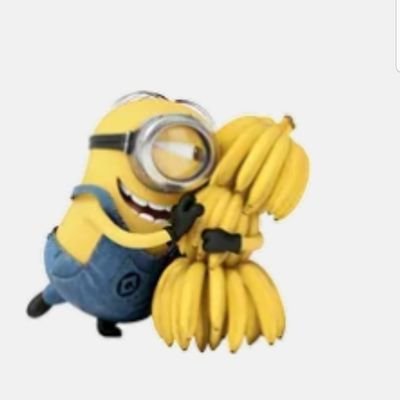 pericoahr's profile picture. 