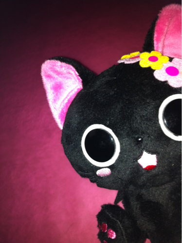 キラキラ にゃんこ 甘いものが大スキです♪「なんとかなるさ」と今日も過ごしてます

目とメガネに関する事に興味があります

フォローのんびりですがお返ししてます