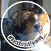 Sharon Kirby (@skirby1970) Twitter profile photo Sharon Kirby (@skirby1970) Twitter profile photo