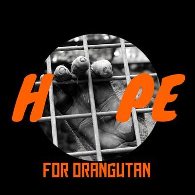 Let's end wildlife trade, hunting, and exploitation. We hope you can join our movement. Let us become hope for all orangutans and all wildlife.