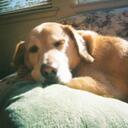 Jayne Lord - @hunterbella - Twitter