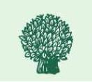 COPD, Diabetes, CVRM, Beweegpret, Beweeg je fit, Manuele therapie, Psychosomatiek, Kinderfysiotherapie, Mc Kenzie, Bekkenfysiotherapie en veel meer...