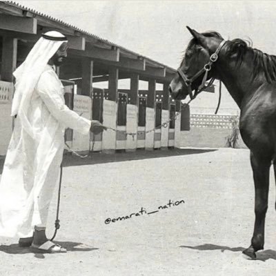 Al Yasat Stables