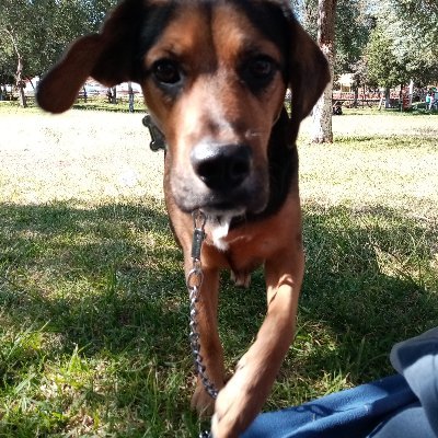 Abram_Alv2004's profile picture. sin guía