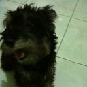 Jeff Su - @Jeffraid - Twitter