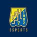 SSK Esports (@SSKEsports) Twitter profile photo