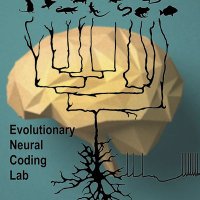 Mark Shein-Idelson (@evoneuralcode) 's Twitter Profile