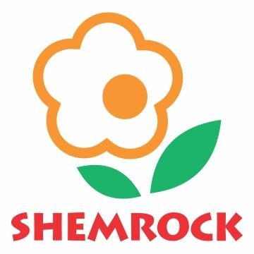 The Right Preschool can Give Your Child the Strongest Foundation! Enroll Your Child at SHEMROCK High Hopes for a Rock Solid Foundation !!