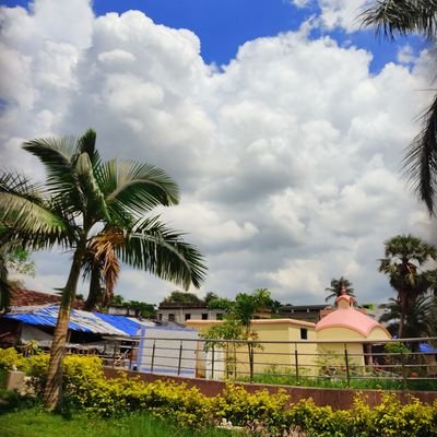 maji_dona's profile picture. 