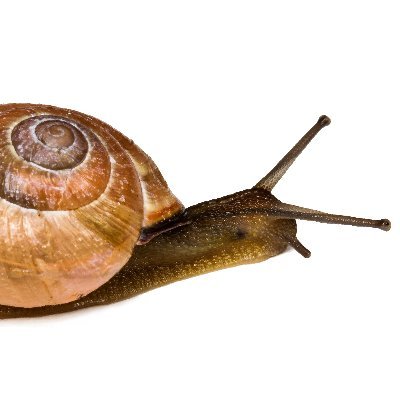 bodemdieren's profile picture. Doe je mee? 20 september t/m 7 oktober 2024