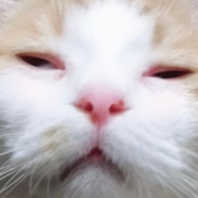 syk_1013aaa's profile picture. 