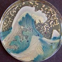 Guig 🔻 (@bobopopo67) 's Twitter Profile Photo