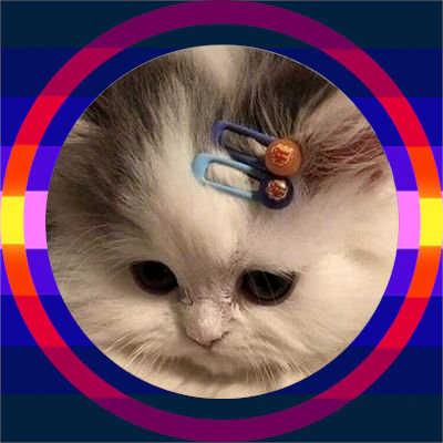 towuchu's profile picture. 💛🤲💛
💫про-радфем подростка💫do you listen to girl in red?💫