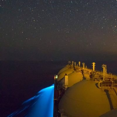 hisham_pa's profile picture. 