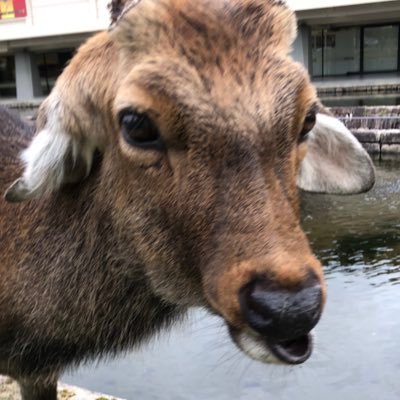 けんたさんのプロフィール画像