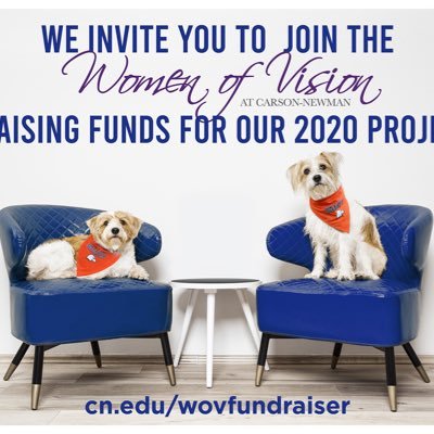 Non profit organization for women benefiting Carson-Newman University