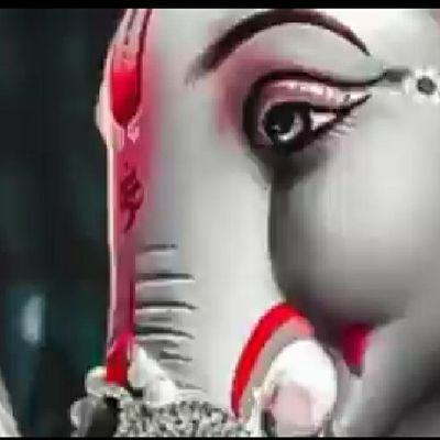 Shivang81875599's profile picture. 