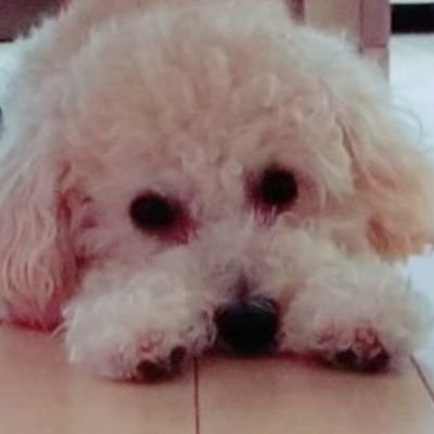 Seiko_Y_0115's profile picture. 