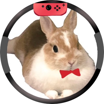 くるみまむはリングフィッター ゲームボーイ とかたまごっちもクリアカラー好きなんですけど 何だろうあの神秘的な感じ 惹かれちゃいます