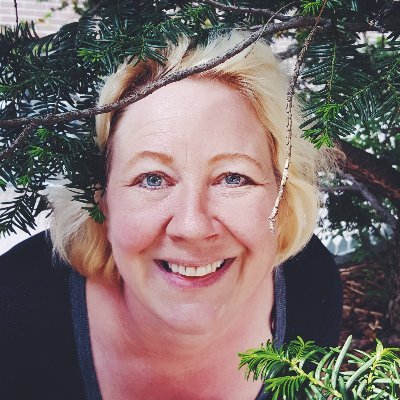 HeidiKnen's profile picture. Addicted to🔬 #science 🌍#education 🌋 #nature  🚀 #sustainability 🐜#research 🕍#museums #expatlife | RDI manager @KVS_fi