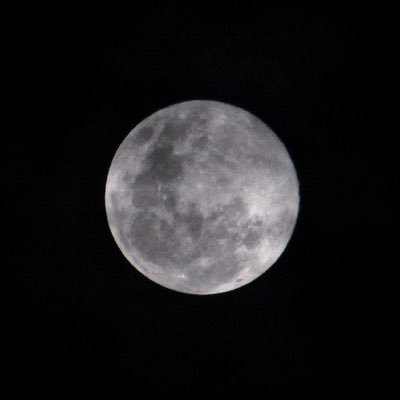 AnnyGupita's profile picture. All good, bro.