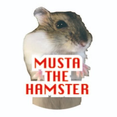 ジャンガリアンハムスターのムスタさんです。
よろしくお願いします。
He is Musta the Hamster. 
Thank you for watching.
インスタ　https://t.co/HByfdBeLA6
