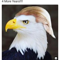 I'm the MAGA Mimi (@karenjocole) Twitter profile photo