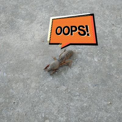 fmYOgzBcuaUSVUu's profile picture. 