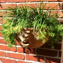 Sally Hensley - @sallyhensley - Twitter