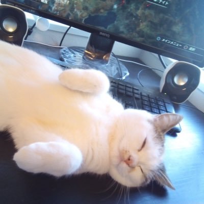 UvL0HUoP31GqJl4's profile picture. 大学生/滋賀在住/プログラミング勉強中/株式投資勉強中/切磋琢磨しあいたい人々をマッチングするアプリを作りたい