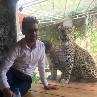زہ سادہ پشتون پیغام د امن او د مینی یم، # تاتہ می چا ھسی چرتہ وران تصویر جوڑ کڑے دے