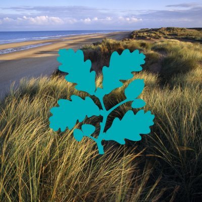 A coastal nature haven for wildlife and people. Discover some of Europe’s best sand dune habitats, where many rare species thrive, including natterjack toads.