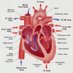 Matters of the Heart 🫀 (@mattersoftheh14) Twitter profile photo Matters of the Heart 🫀 (@mattersoftheh14) Twitter profile photo
