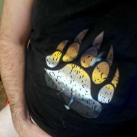 AJ the Bear (@ajthebexar) 's Twitter Profile