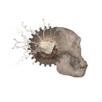 Homtech ANR (@homtecha) 's Twitter Profile