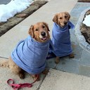 Todd Fox - @coachtoddfox - Twitter